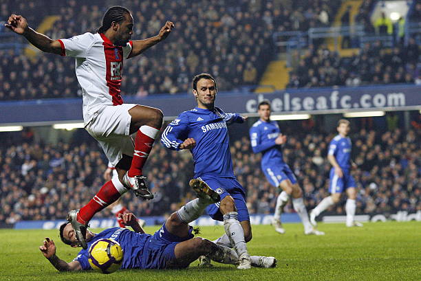 苗公司展開 苗公司展開